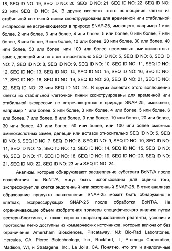 Иммунологические анализы активности ботулинического токсина серотипа а (патент 2491293)