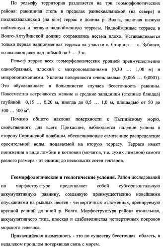 Способ прогнозирования семенной продуктивности солодки голой и солодки уральской сухостепного, лиманного и пойменного экотипов (патент 2360403)