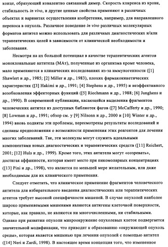 Избирательный направленный перенос в сосудистую сеть опухоли с использованием молекул антител (патент 2347787)