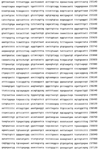 Применение s1p (патент 2362565)