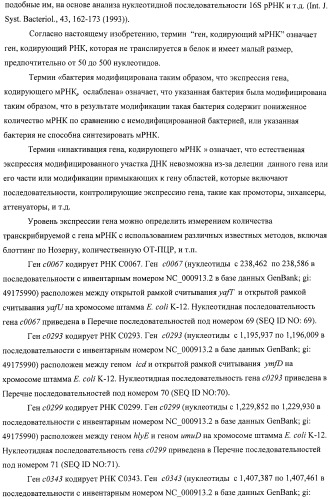 Способ получения l-аминокислот с использованием бактерии, принадлежащей к роду escherichia, в которой инактивирован один или несколько генов, кодирующих малые рнк (патент 2395567)