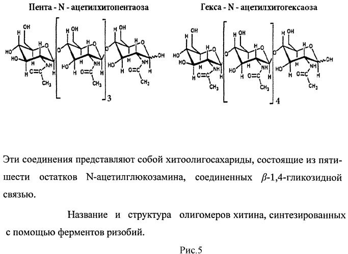 Способ ферментативного получения пента-n-ацетилхитопентаозы и гекса-n-ацетилхитогексаозы (патент 2517620)