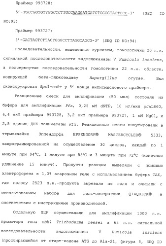 Клетка-хозяин trichoderma reesei для получения целлюлолитической белковой композиции, целлюлолитическая белковая композиция, способы ее получения и применения (патент 2494146)