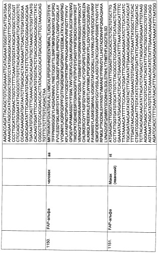 Pscaxcd3, cd19xcd3, c-metxcd3, эндосиалинxcd3, epcamxcd3, igf-1rxcd3 или fap-альфаxcd3 биспецифическое одноцепочечное антитело с межвидовой специфичностью (патент 2547600)
