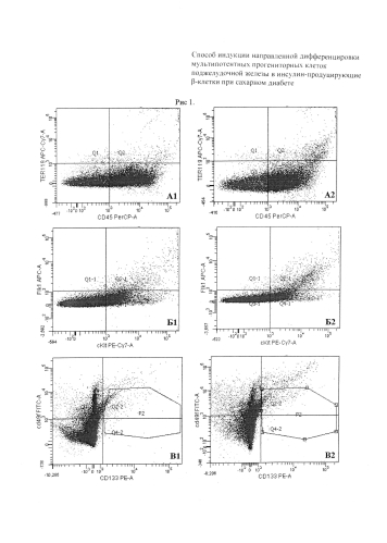 Способ индукции направленной дифференцировки мультипотентных прогениторных клеток поджелудочной железы в инсулин-продуцирующие β-клетки при сахарном диабете (патент 2579997)