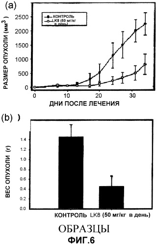 Противораковый агент, содержащий белок lk8 в качестве активного ингредиента (патент 2306147)