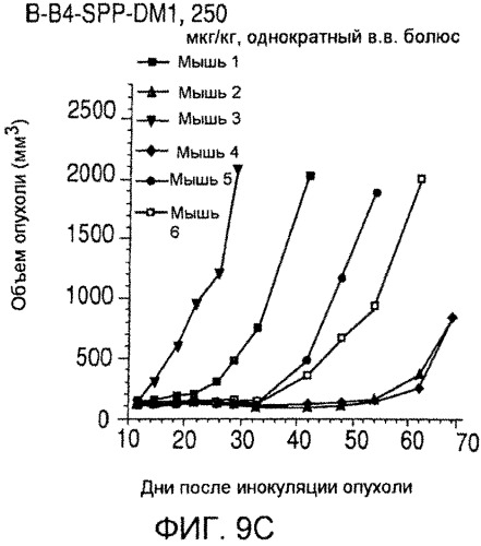 Иммуноконъюгаты, направленные на cd138, и их применение (патент 2547939)