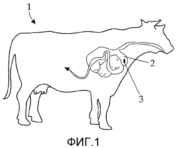 Устройство для измерения данных отдельного сельскохозяйственного животного (патент 2548878)