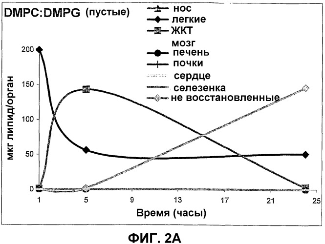 Сфингоидные полиалкиламиновые конъюгаты для вакцинации (патент 2361577)