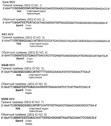 Вакцина против hcv (патент 2323744)