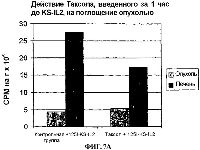 Усиление иммунной реакции, медиатором которой является слитый протеин антитело-цитокин, при помощи комбинированного лечения агентами, увеличивающими поглощение иммуноцитокина (патент 2272644)