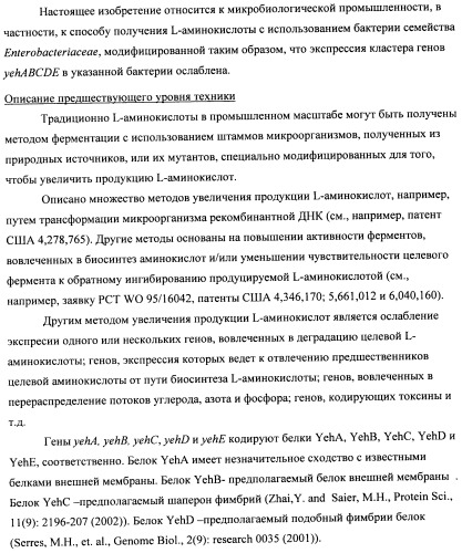 Способ получения l-треонина и l-аргинина с использованием бактерии, принадлежащей к роду escherichia, в которой инактивирован кластер генов yehabcde (патент 2337960)