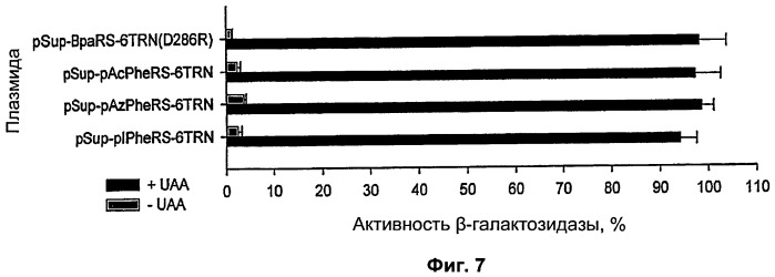 Система экспрессии компонентов ортогональной трансляции в эубактериальной клетке-хозяине (патент 2467069)