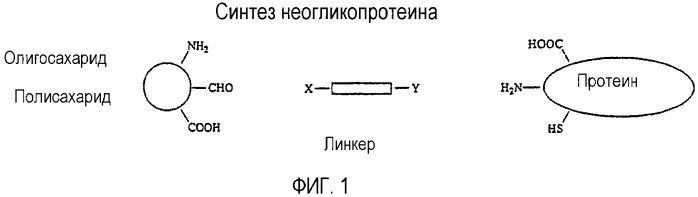 Конъюгаты гидроксиалкилкрахмала и аллергена (патент 2325925)