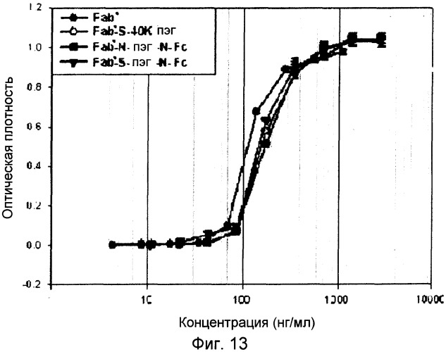Белковый комплекс, полученный с использованием фрагмента иммуноглобулина, и способ получения такого комплекса (патент 2356909)
