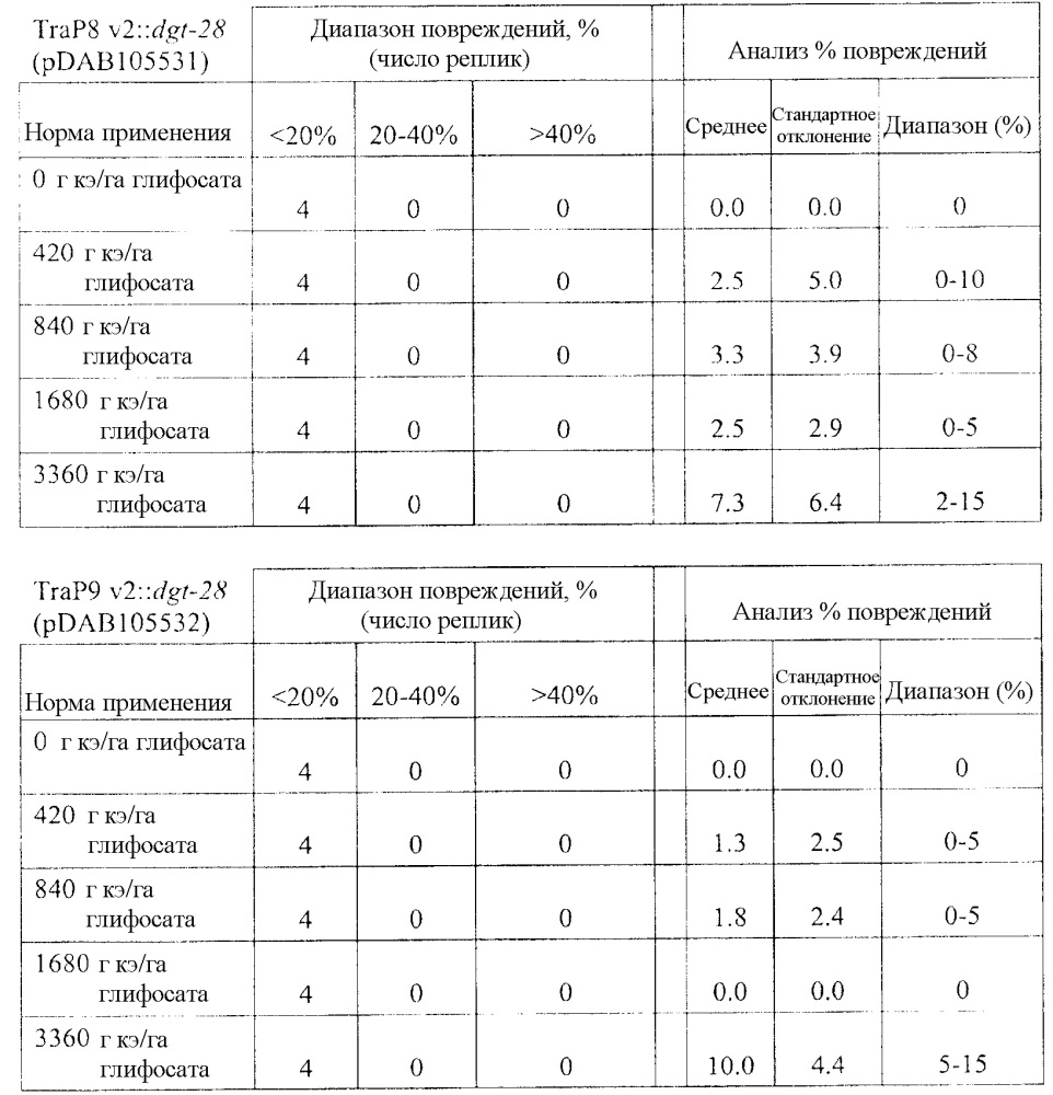 Синтетические транзитные пептиды хлоропласта из brassica (патент 2636035)