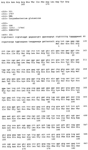 Гены corynebacterium glutamicum, кодирующие белки, участвующие в метаболизме углерода и продуцировании энергии (патент 2321634)