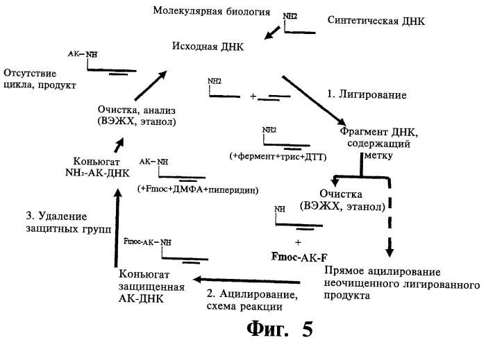 Биологически активное соединение, содержащее кодирующий олигонуклеотид (варианты), способ его синтеза, библиотека соединений (варианты), способ ее синтеза и способ поиска соединения, связывающегося с биологической мишенью (варианты) (патент 2470077)