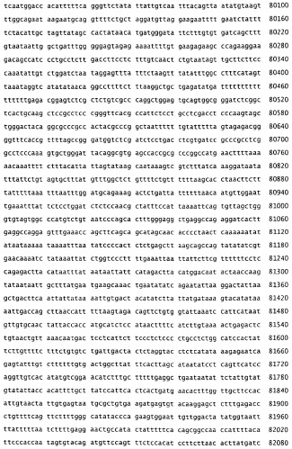 Применение s1p (патент 2362565)