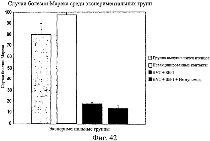 Усиленный иммунный ответ у видов птиц (патент 2570732)