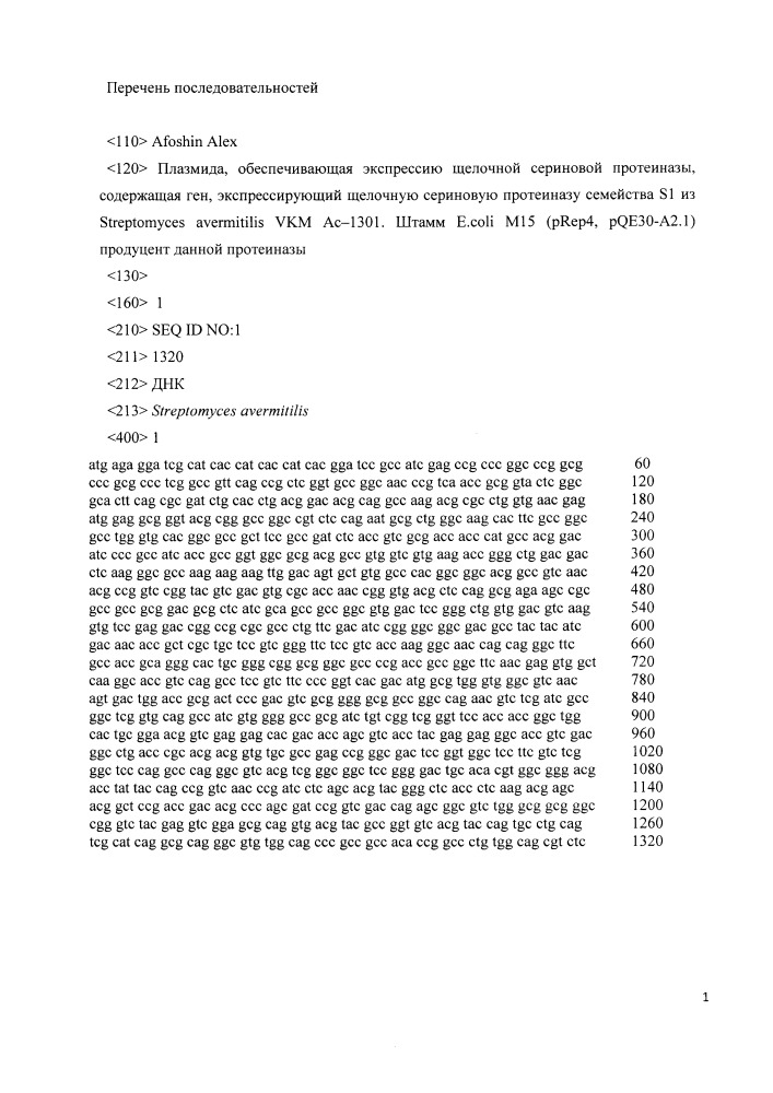 Плазмида, обеспечивающая экспрессию щелочной сериновой протеиназы, содержащая ген, экспрессирующий щелочную сериновую протеиназу семейства s1 из streptomyces avermitilis vkm ac-1301, штамм e. coli m15 (prep4, pqe30-a2.1) - продуцент данной протеиназы (патент 2662888)