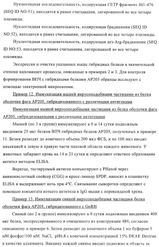 Вирусоподобные частицы, включающие гибридный белок белка оболочки бактериофага ар205 и антигенного полипептида (патент 2409667)