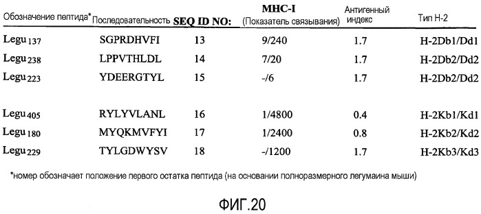 Композиция днк для вызова иммунного ответа против опухолеассоциированных макрофагов (патент 2459631)