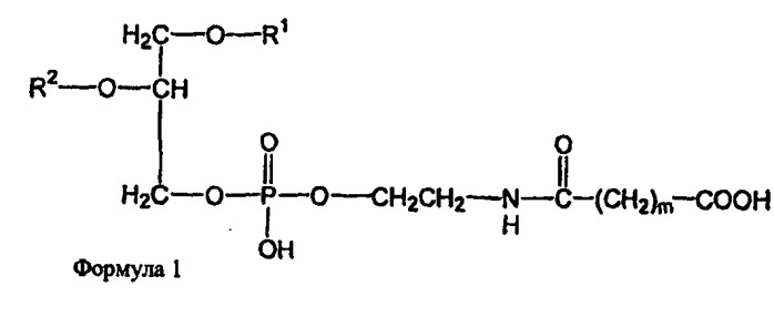 Новые композиции липосом (патент 2454229)