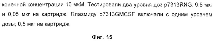 Способ усиления иммунного ответа млекопитающего на антиген (патент 2370537)