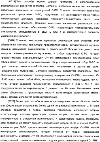 Генетически кодируемые флюоресцентные кумариновые аминокислоты (патент 2473690)