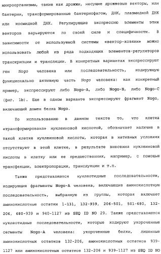 Поликлональное антитело против nogo, фармацевтическая композиция и применение антитела для изготовления лекарственного средства (патент 2432364)