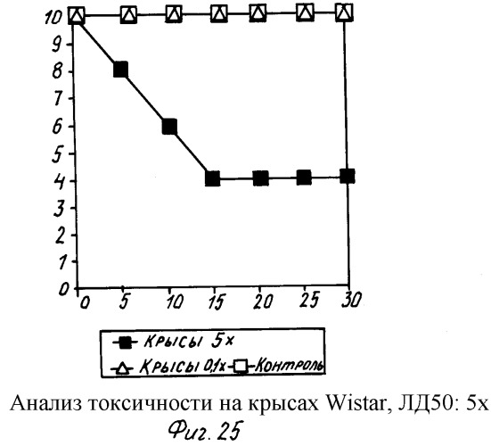 Полисахарид с иммуностимулирующей активностью, способ его получения и применение (патент 2276157)