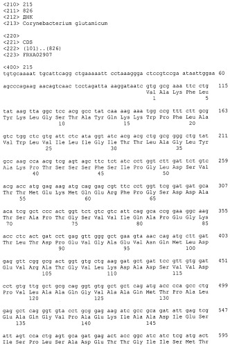 Гены corynebacterium glutamicum, кодирующие белки резистентности и толерантности к стрессам (патент 2303635)