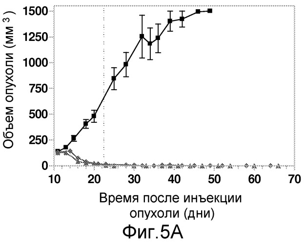 Конъюгаты, содержащие гидрофильные спейсеры линкеров (патент 2523909)