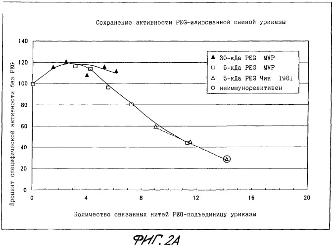 Конъюгаты peg-уратоксидазы, их использование, способ изолирования тетрамерной формы уриказы (патент 2349341)