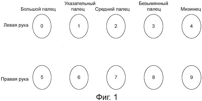 Повышение биометрической защищенности системы (патент 2533654)