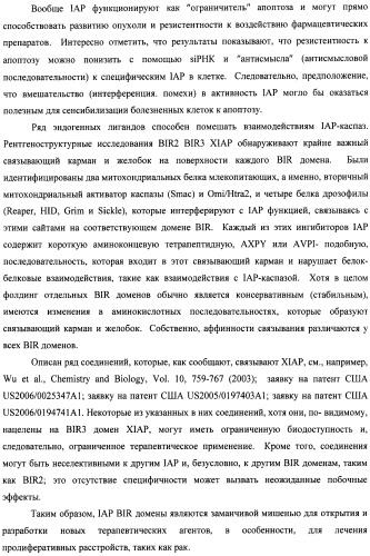 Соединения, связывающие bir домены iap (патент 2418807)