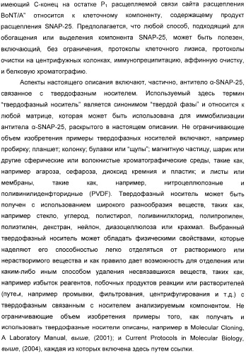 Иммунологические анализы активности ботулинического токсина серотипа а (патент 2491293)