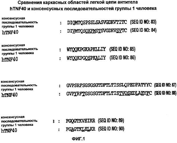 Молекулы антител, обладающие специфичностью в отношении фактора некроза альфа опухоли человека, и их применение (патент 2303604)