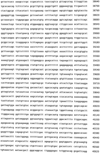 Бактериофаг, обладающий активностью против pseudomonas aeruginosa, белки бактериофага и способы их применения (патент 2580248)