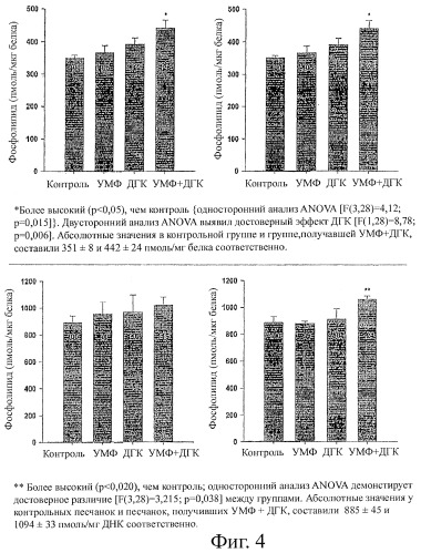 Композиции, содержащие полиненасыщенные жирные кислоты (пнжк), и способы их применения (патент 2436571)