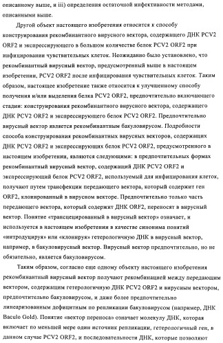 Поливалентные иммуногенные композиции pcv2 и способы получения таких композиций (патент 2488407)