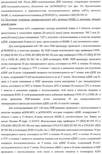 Агонистическое соединение, способное специфически узнавать и поперечно сшивать молекулу клеточной поверхности или внутриклеточную молекулу (патент 2430927)