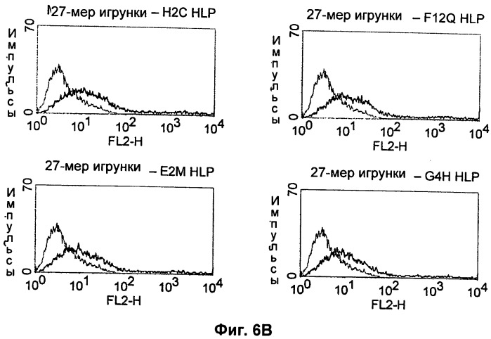 Psma×cd3 биспецифическое одноцепочечное антитело с межвидовой специфичностью (патент 2559531)