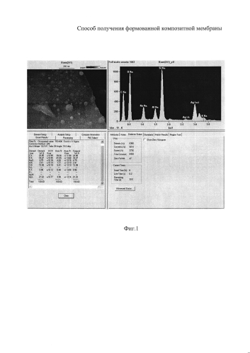 Способ получения формованной композитной мембраны (патент 2592529)