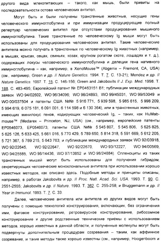 Антитела, связывающиеся с рецепторами kir2dl1,-2,-3 и не связывающиеся с рецептором kir2ds4, и их терапевтическое применение (патент 2410396)