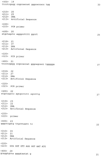 Плазмида для экспрессии в клетке китайского хомячка, клетка китайского хомячка - продуцент белка с gla-доменом и способ получения белка с gla-доменом (патент 2535871)