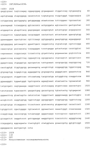 Pscaxcd3, cd19xcd3, c-metxcd3, эндосиалинxcd3, epcamxcd3, igf-1rxcd3 или fap-альфаxcd3 биспецифическое одноцепочечное антитело с межвидовой специфичностью (патент 2547600)