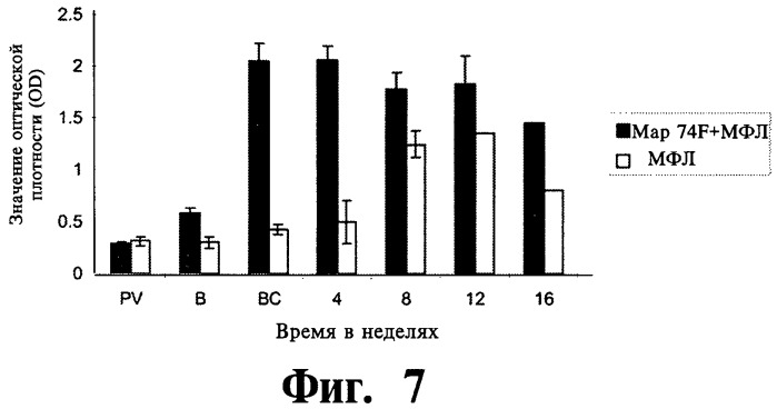 Фармацевтическая композиция и способ стимулирования иммунного ответа к мусоbacterium avium подвида paratuberculosis (патент 2489165)