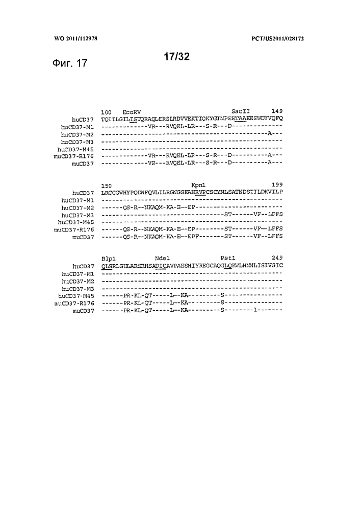 Cd37-связывающие молекулы cd37 и иммуноконъюгаты (патент 2610662)